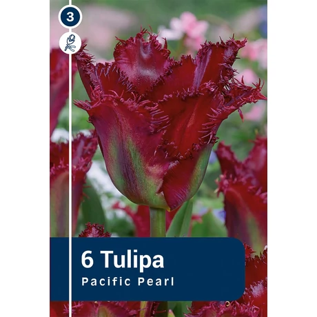 Vh 16819 Tulipa Crispa Pacific Pearl 6db/cs 11/12