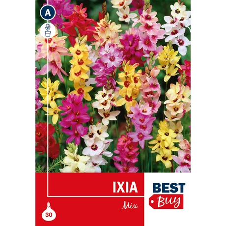 Vh 16060  Ixia Mix 30db/cs 4/5