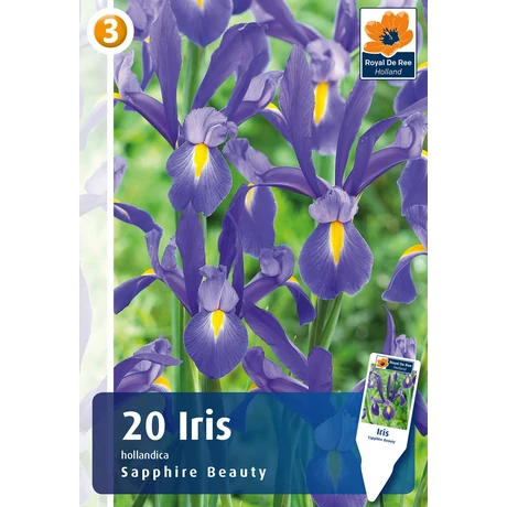 Vh 16382  Iris Hollandica Sapphire Beauty 20db/cs 8/9