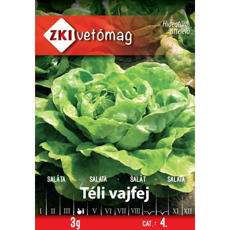 Z Saláta Téli vajfej 3g