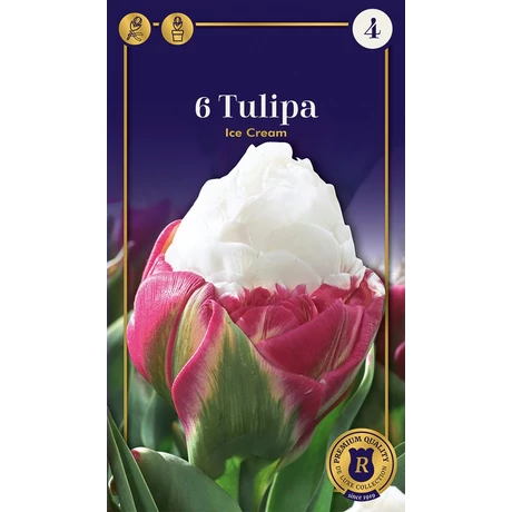 Vh 16683 Tulipa Supreme Double Late Ice Cream 6db/cs 11/+