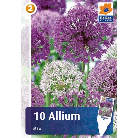Vh 16838 Allium Allium Mix 10db/cs 10/12