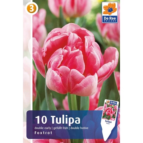 Vh16825 Tulipán Double Early Foxtrot 10db/csom