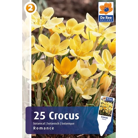 Vh16352 Crocus Botanical Romance 25db/cs