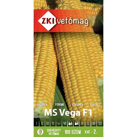 Z Kukorica MS Vega F1 100szem