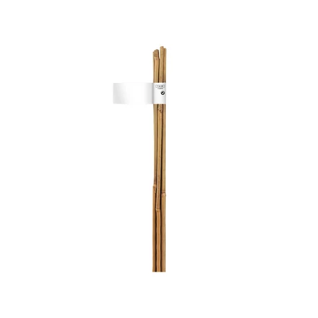 140836 BAMBOO bambusz termesztő karó bambusz 2,1 m