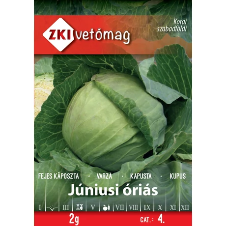 Z Fejes káposzta Júniusi óriás 2g