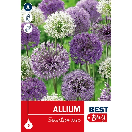 Vh 16089  Allium Sensation Mix 5db/cs 10/12