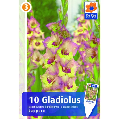 Vh08554 Gladiolus Largeflowering Sapporo 10db/cs