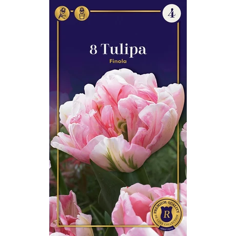 Vh16654 Tulipán Supreme Double Early Finola 8db/csom