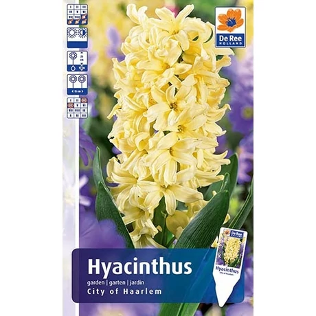 Vh Rackbox Hyacinth City of Haarlem 25db