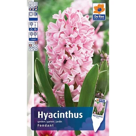 Vh Rackbox Hyacinth Fondant 25db