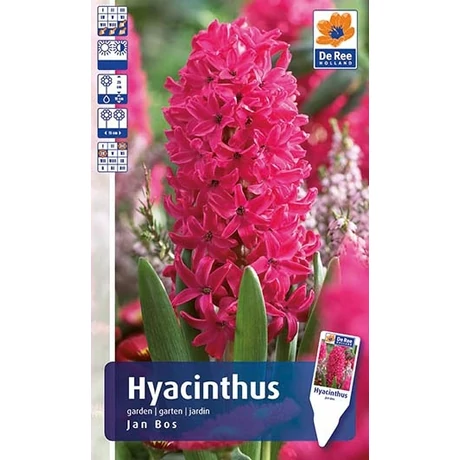 Vh Rackbox Hyacinth Jan Bos 25db