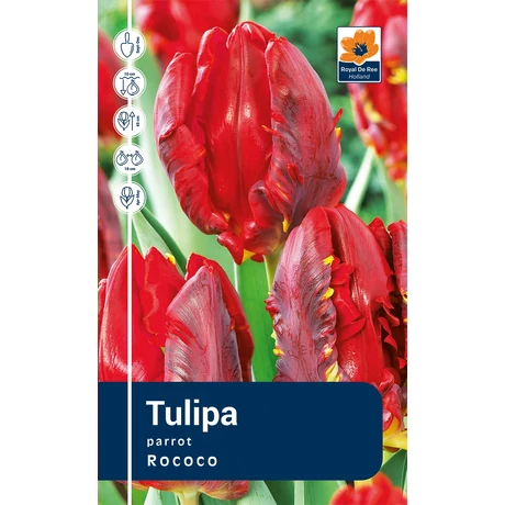 Vh Rackbox Tulipa Parrot Rococo 120db/cs 11/12