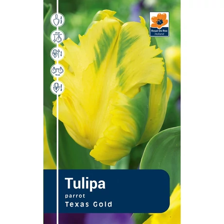 Vh Rackbox Tulipa Parrot Texas Gold 120db/cs 11/12