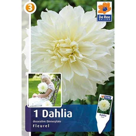 Vh08473 Dahlia Dinner Plate Fleurel 1db/cs