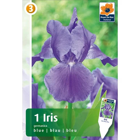 Vh08437 Írisz Germanica Blue 1db/cs