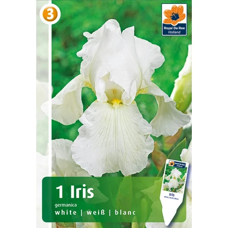 Vh08440 Írisz Germanica White 1db/cs