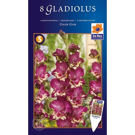 Vh10575 Gladiolus Supreme Largeflowering Color Club 8db/cs