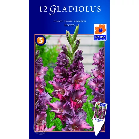 Vh10559 Gladiolus Supreme  Parrot Rostov