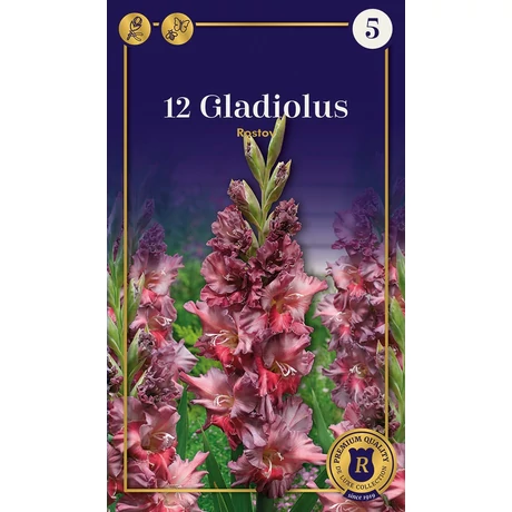 Vh10559 Gladiolus Supreme  Parrot Rostov 12db/cs