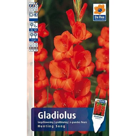 Vh Gladiolus Rackbox Hunting Song