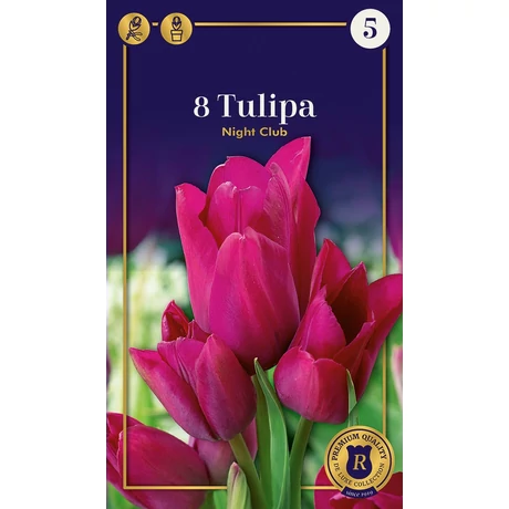 Vh 16698 Tulipa Supreme Multiflowering Night Club 8db/cs 12/+
