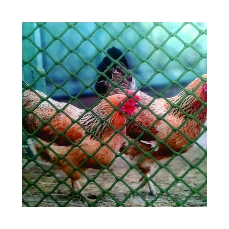 2004166 POULTRYMESH (B-92 5311) műanyag baromfirács 20 x 20  zöld 0,9 x 25 m