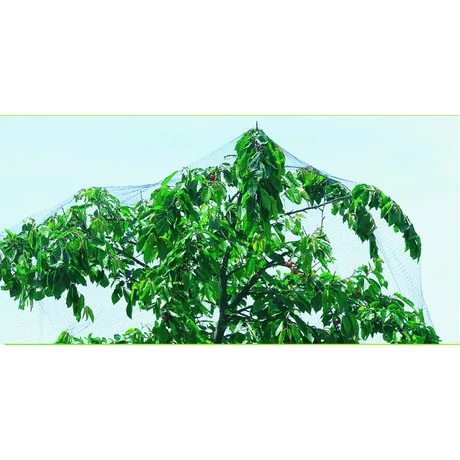 120050 EASYNET PP madárháló 17 x 17  fekete 2 x 10 m