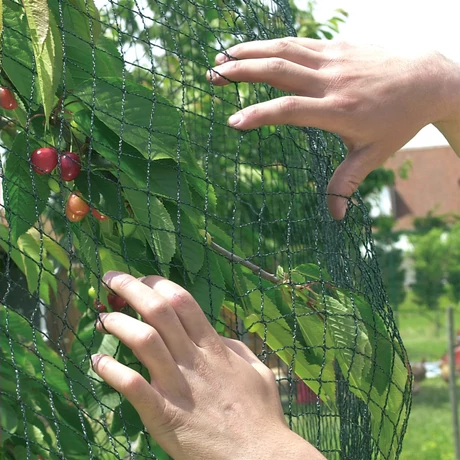 120106 PRONET PE szőtt madárháló 20 x 20  zöld-fekete 5 x 6 m