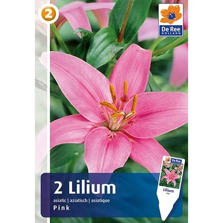 Vh 16457 Lilium Asiatic Pink 2db/cs 16/18
