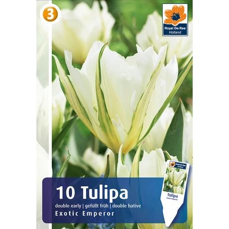 Vh16829 Tulipán Double Early Exotic Emperor 10db/csom