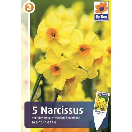 Vh16881 Narcisz Multiflowering Martinette 5db/csom