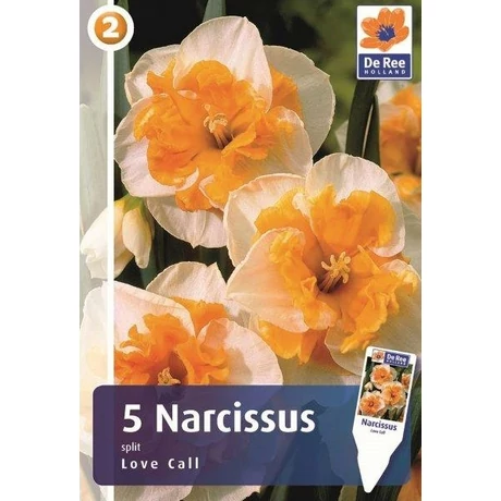 Vh 16880 Narcissus Orchid Love Call 5db/cs 12/14