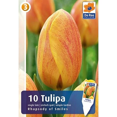 Vh Rackbox Tulipán Single Late Rhapsody of Smiles 150db