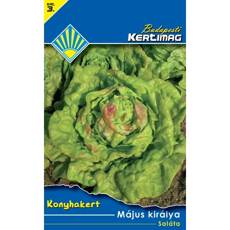 B Saláta Május királya 2g