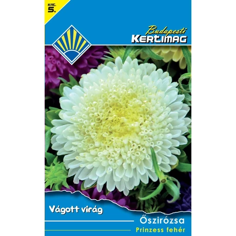 B Virágmag Őszirózsa Prinzess fehér 1g