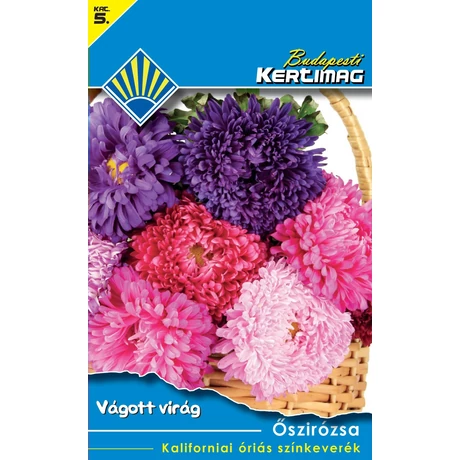 B Virágmag Őszirózsa Kaliforniai óriás színkeverék 1g