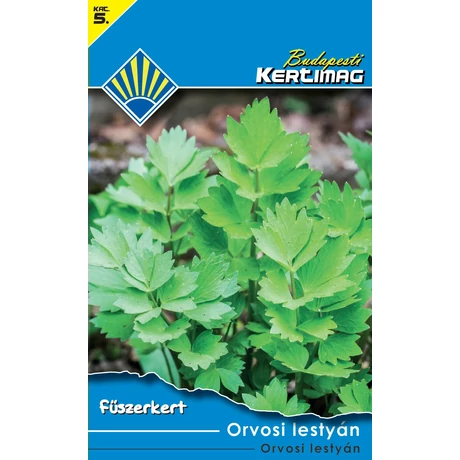 B Fűszer Orvosi lestyán 1g