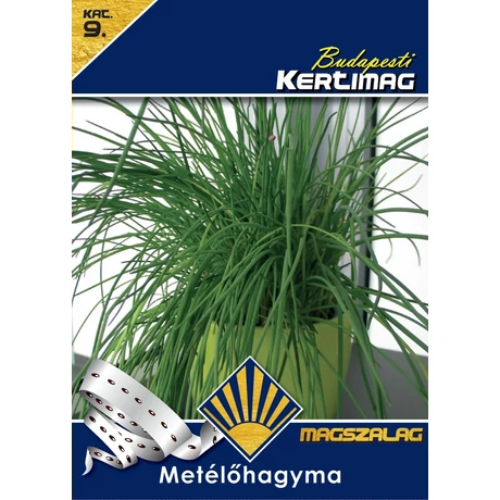 B Hagyma Metélőhagyma 2m magszalag Prémium
