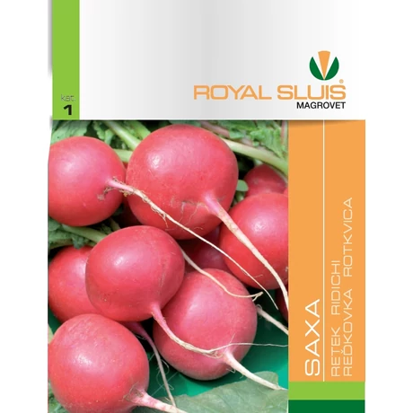 R Retek Saxa 5g