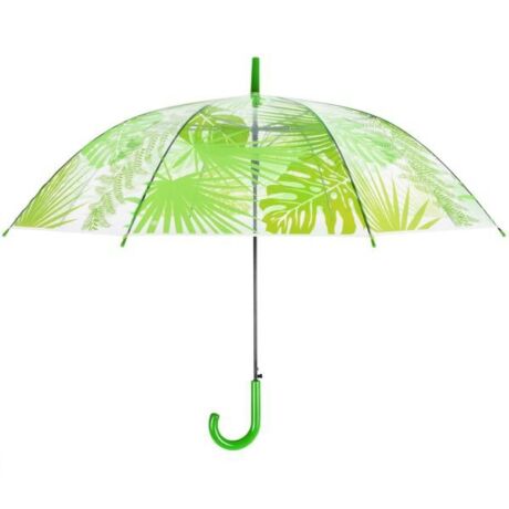 I TP272 trópusi leveles esernyő