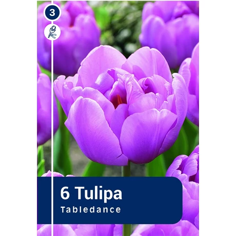 Vh 16480 Tulipa Double late Tabledance 6db/cs 11/12