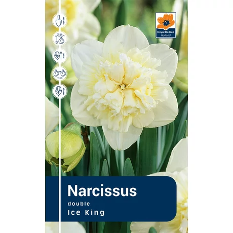 Vh Rackbox Narcissus Double Ice King 25db/cs 14/16