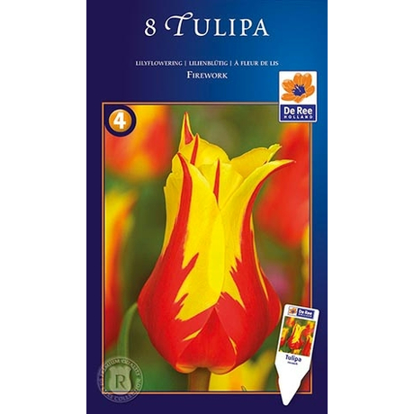 Vh16972 Tulipán Lilyflowering Firework 8db/csom