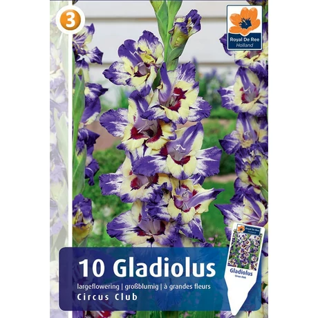 Vh08302 Gladiolus Largeflowering Circus Club 10db/cs