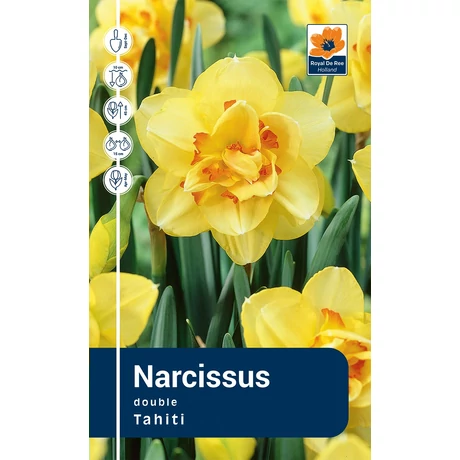 Vh Rackbox Narcissus Double Tahiti 25db/cs 14/16