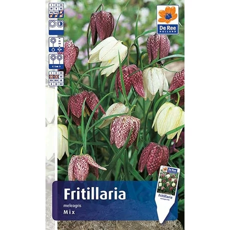 Vh Rackbox Fritillaria Meleagris Mix 250db/cs 5/+