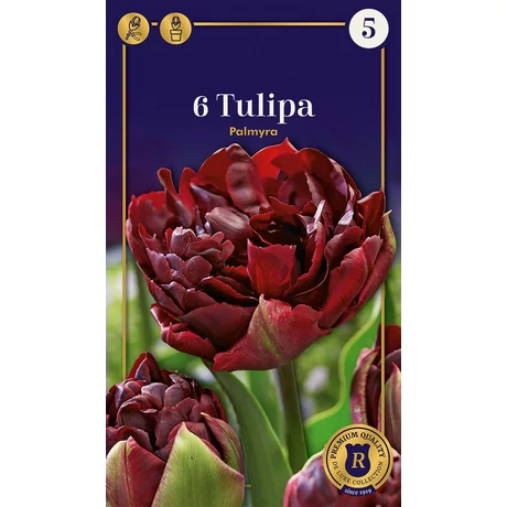 Vh 16505 Tulipa Supreme Double Early Palmyra 6db/cs 12/+