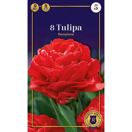 Vh16970 Tulipán Supreme Double Early Pamplona 8db/csom